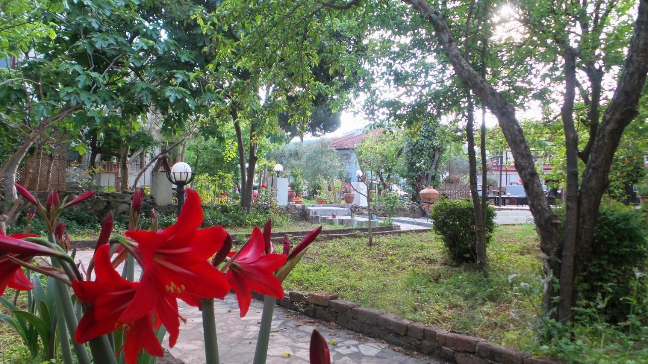 Ovacık Native Hotel المظهر الخارجي الصورة